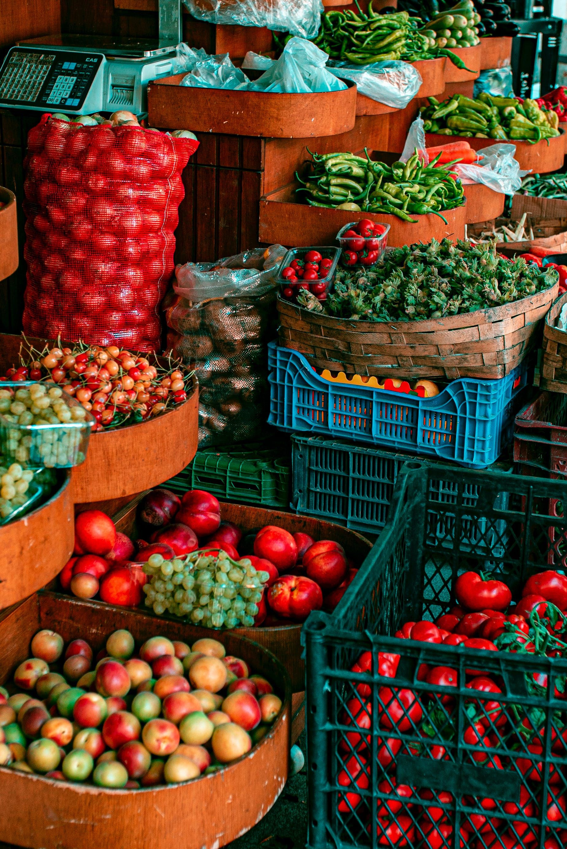 ROBUSTECEN EXPORTACIÓN AGROPECUARIA