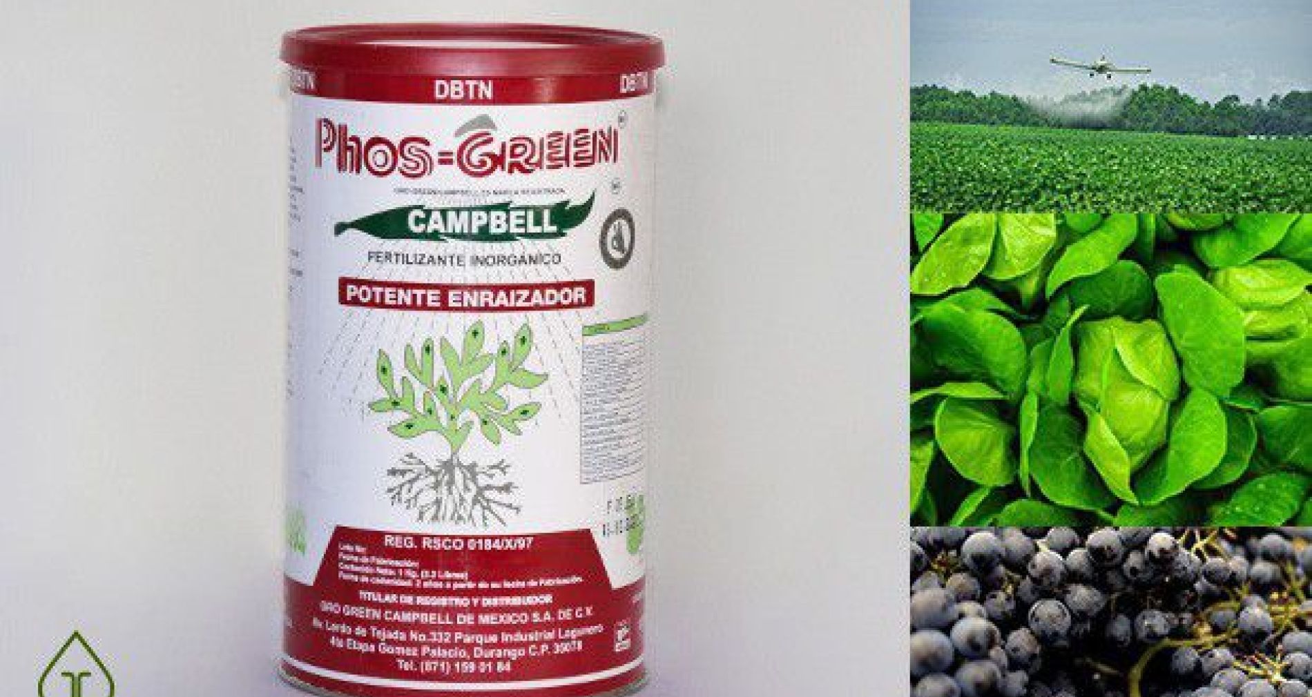 Phos Green Campbell Fórmula 12-60-0 Fertilizante Foliar, Potente Enraizador