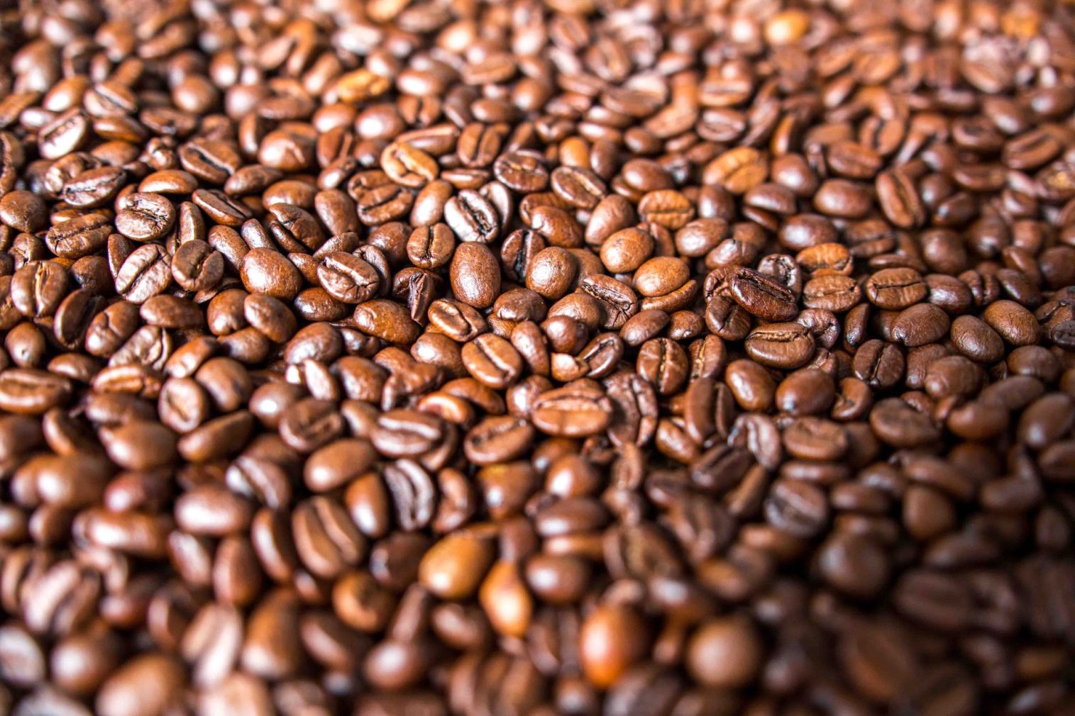 Programa para el cultivo de Café