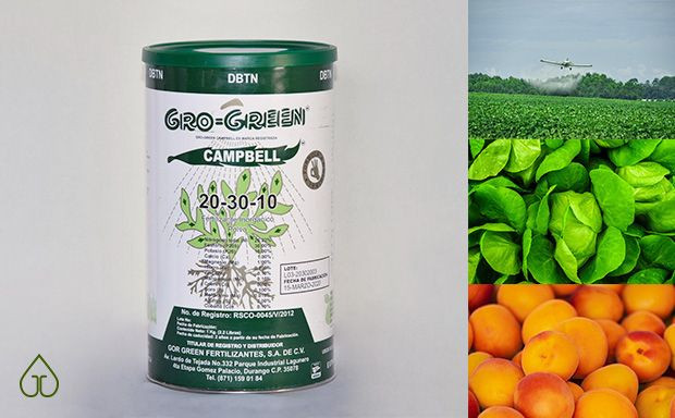Gro Green Campbell Fórmula 20-30-10 Fertilizante Foliar Concentrado