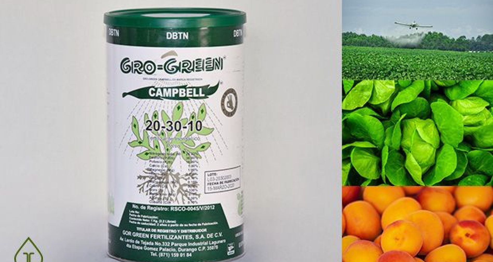 Gro Green Campbell Fórmula 20-30-10 Fertilizante Foliar Concentrado
