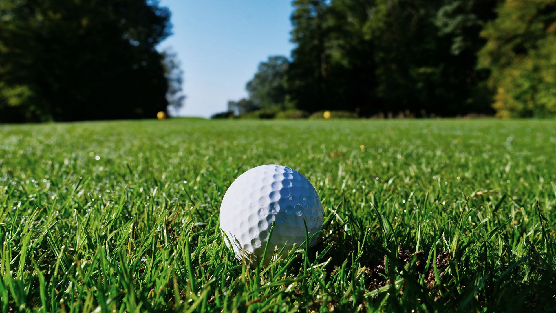Programa para el cultivo de césped en campos de Golf