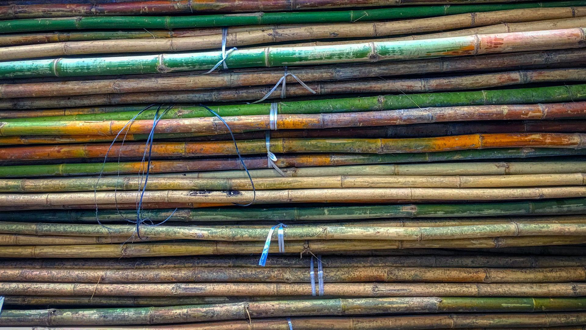 Programa para el cultivo de Caña de Azucar