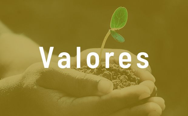 Valores