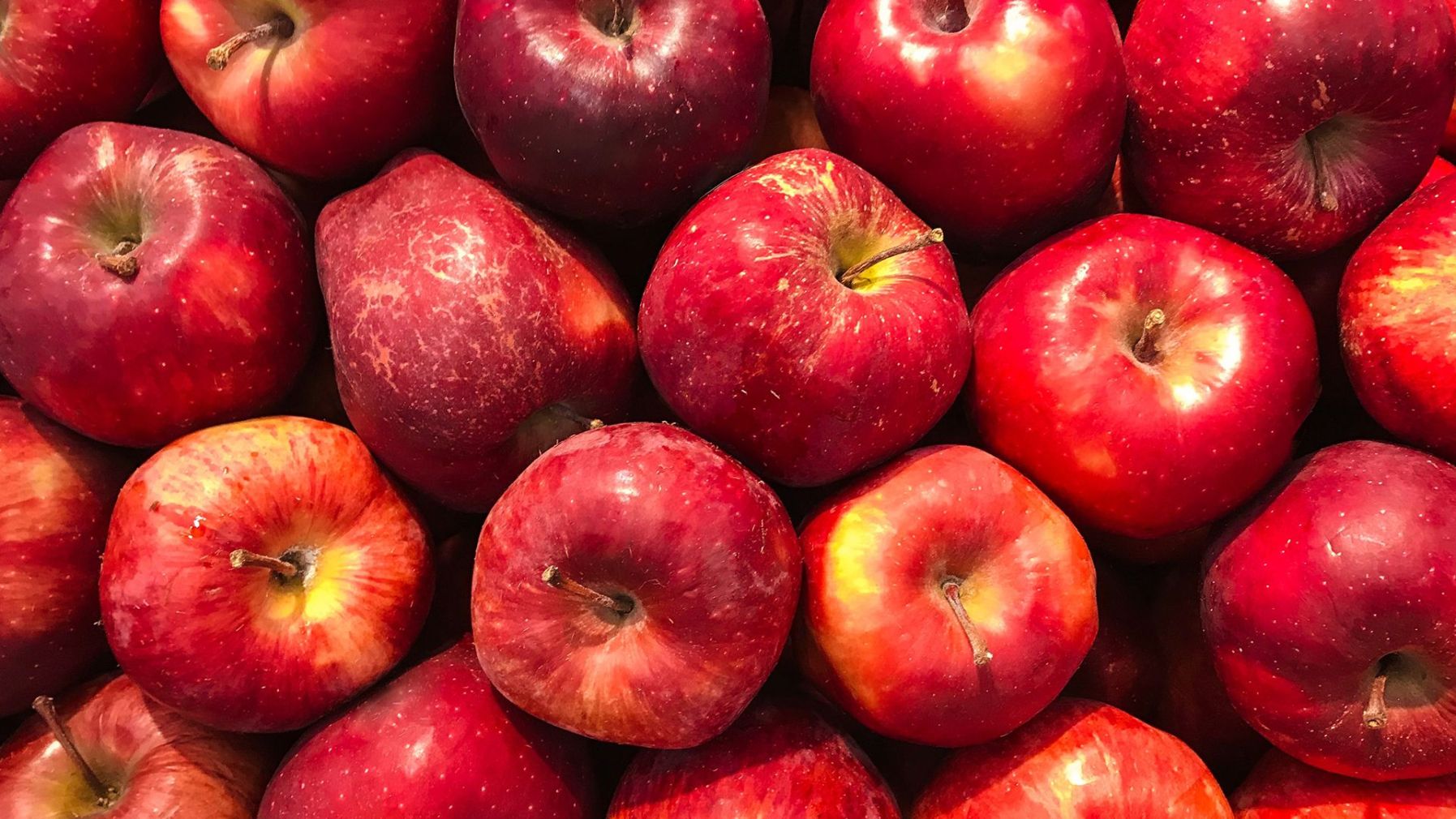 Programa para el cultivo de Manzana